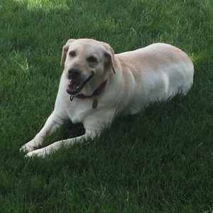 Meet your Posher, Valerie